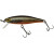 20087002-
			RT Arctic Char