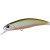 14662-Tennessee Shad