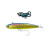 10691-Oil Sardine