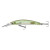 see trough shad