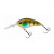 ghost gill