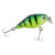 13471013-
			Green Fire Tiger