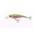 52580027-
			Неутрален-
			№27<br>Rainbow Trout