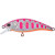 20065068-
			Pink Yamame