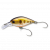 53-04434<br>Brown minnow