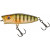 20075812-
			Wild Perch