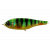 #10 Perch