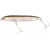 20016240-
			Ghost Pearl Minnow