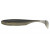 #206<br>Golden Shiner
