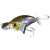 20597-CONSTANT GUIGO / BORDER HL