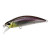 23438-Stream Shad