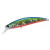 26544-Okinawa Red Belly