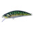 26525-Green Mackerel