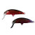 26566-SHOBOKURE TAIL