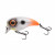 13382-Hot Tail