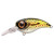 23483-Brown Trout