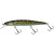 20057326-
			UV Northern Pike
