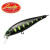 28116-Chart Head Black Amago