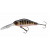 pearl ghost perch