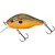 20070844-
			Sun Perch