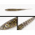 #110<br>Sujiebi UV