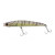 30508-Shrimp