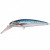 12088-Mackerel