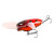 30326-Ladybird