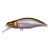 24285-LZ Highland Wakasagi II<br>14