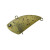 25842-ENDO PUMPKIN