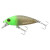 24548-GREEN / WEED
