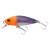 24547-ORANGE / SARDINE