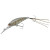24615-SIGHT BOTTOM SHRIMP TYPE II