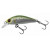 30813-VISIBLE TROUT