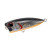 30655-Prism Shad