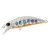 14563-Ivory Yamame