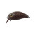 21775-TACKEY BROWN