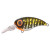 23485-Northern Pike