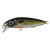23540-Shad