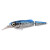 21513-Silverfish