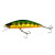 17900-Green Back
