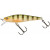 20069759-
			Wild Perch