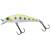 20080952-
			Grass Trout