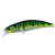 14559-Green Mackerel