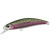 14356-Rainbow Trout