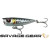 15439-Sardine PHP