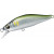 24252201-
			252201<br>Young Ayu 