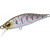 24157790-
			157790<br>Amago