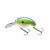 Blue Perch