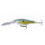 Blue Perch